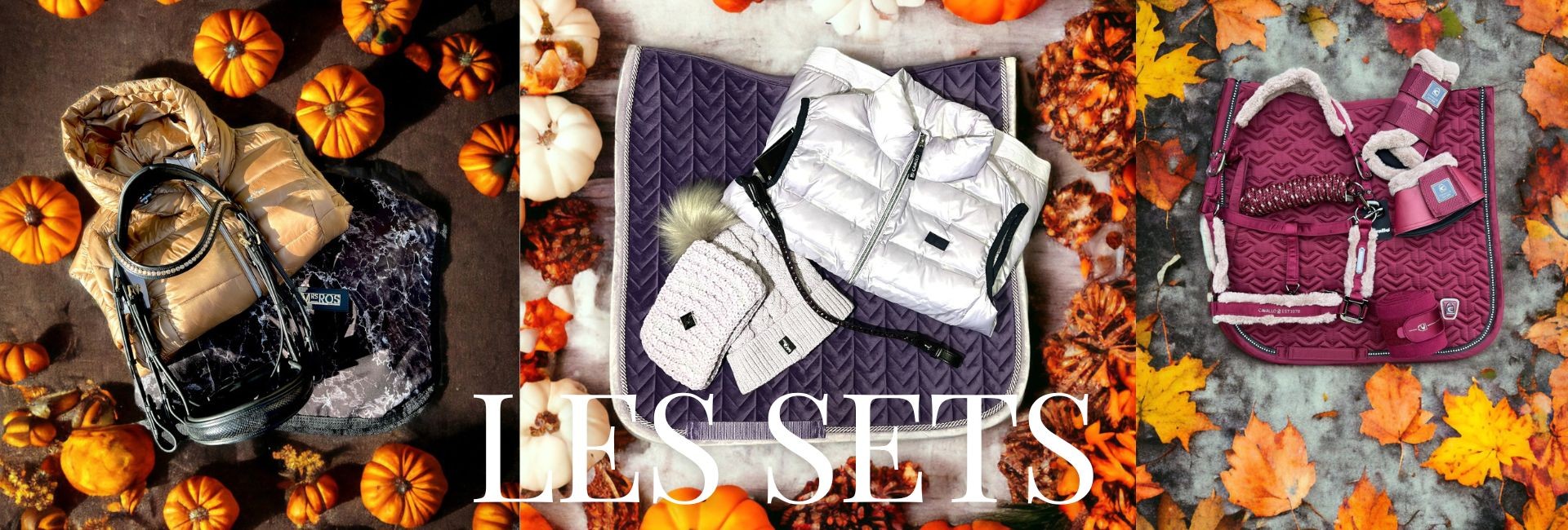 slide winter